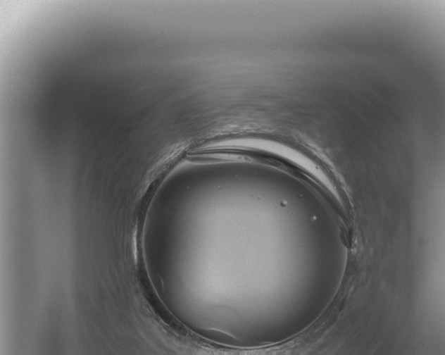 X0000054410019200508051751