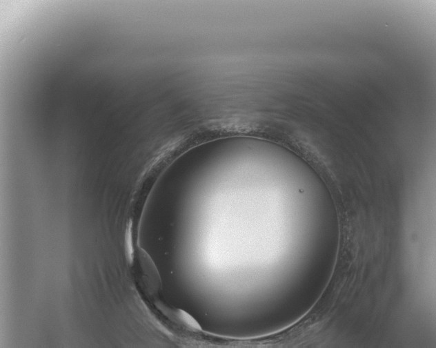 X0000054410020200508051751