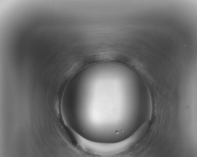 X0000054410021200508051751