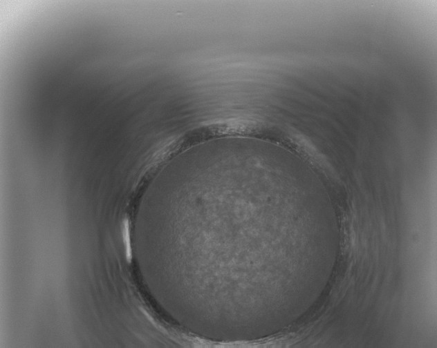 X0000054410022200508051751