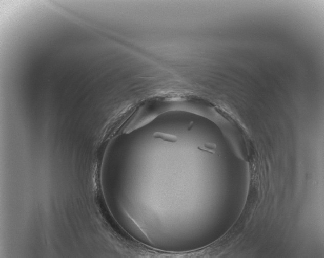 X0000054410023200508051751