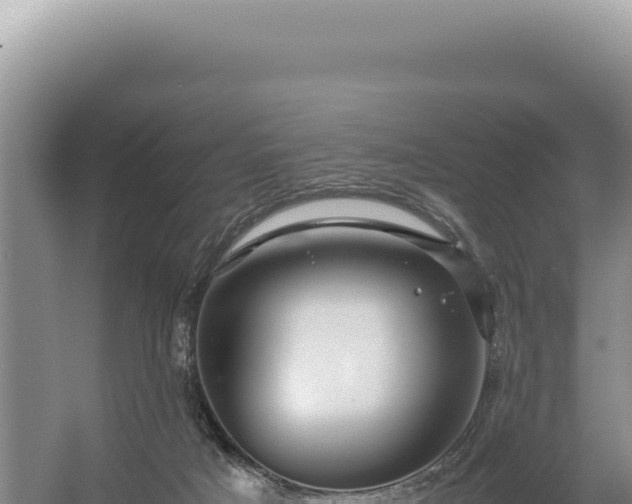 X0000054410025200508051751