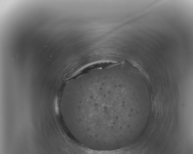 X0000054410026200508051751