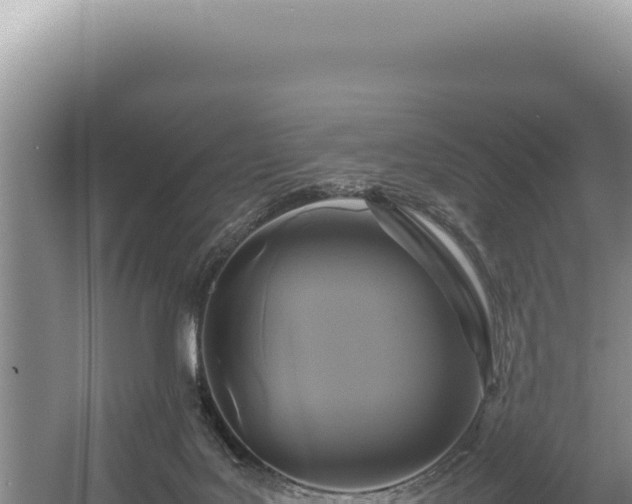 X0000054410027200508051751