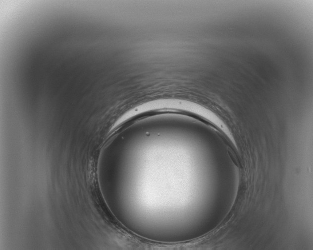 X0000054410029200508051751