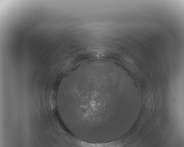 X0000054410030200508051751