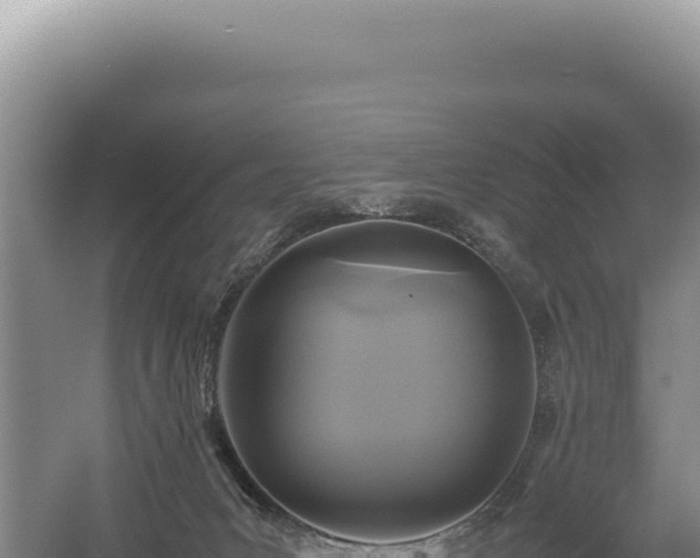 X0000054410031200508051751