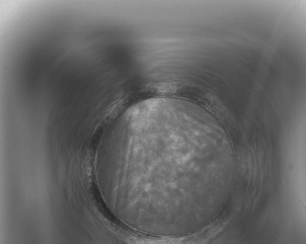 X0000054410032200508051751