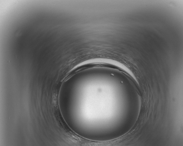 X0000054410033200508051751