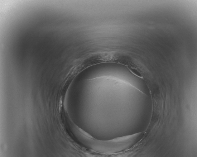 X0000054410035200508051751