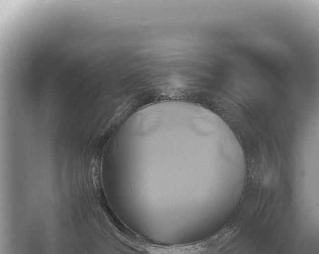 X0000054410036200508051751