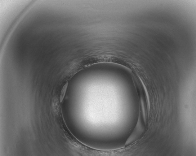 X0000054410037200508051751