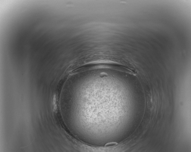 X0000054410038200508051751