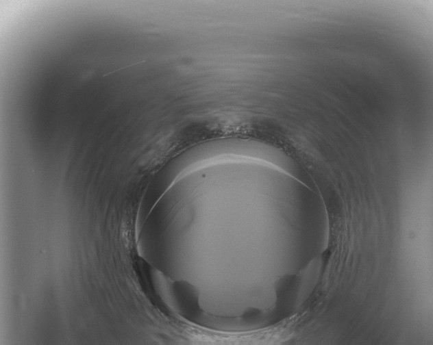 X0000054410039200508051751