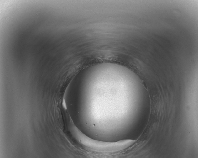 X0000054410040200508051751