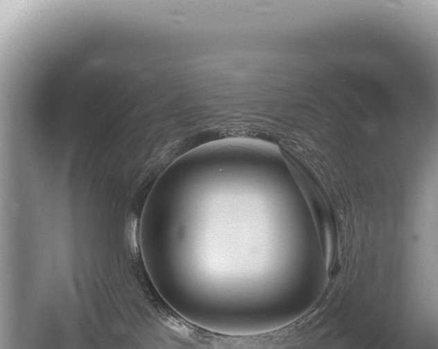 X0000054410041200508051751