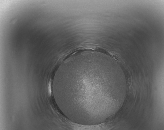 X0000054410042200508051751