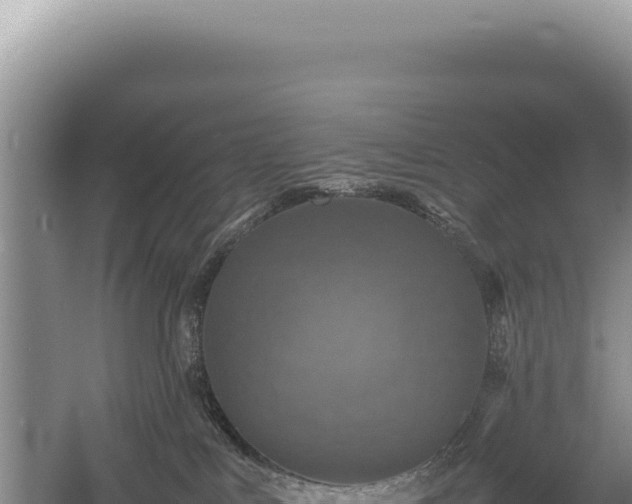 X0000054410043200508051751