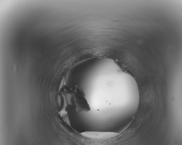 X0000054410044200508051751