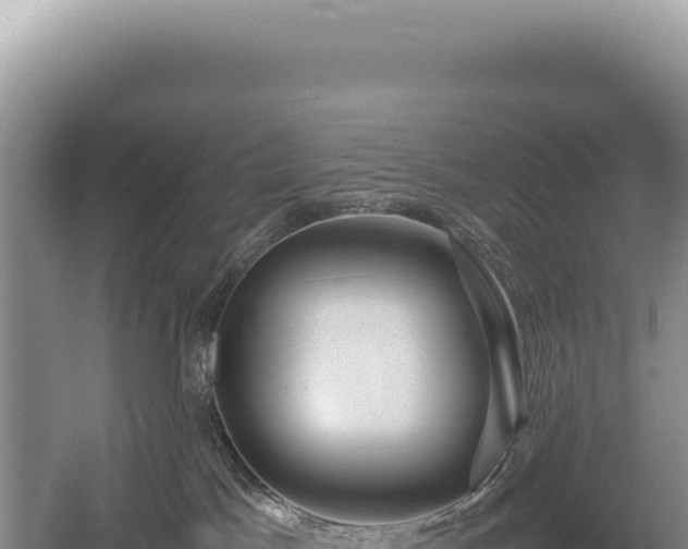 X0000054410045200508051751