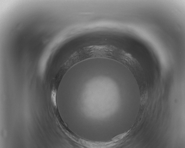 X0000054410047200508051751