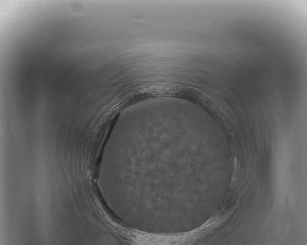 X0000054410048200508051751