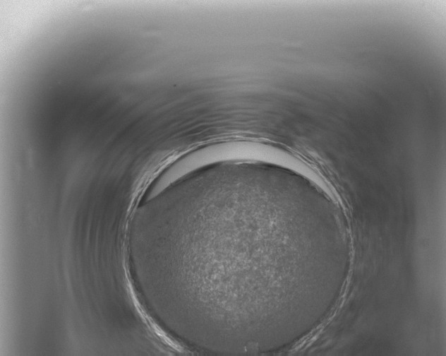 X0000054410049200508051750