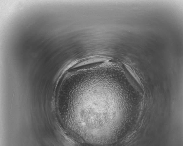 X0000054410050200508051750