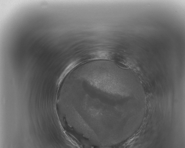 X0000054410051200508051750