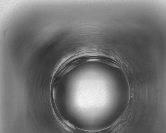 X0000054410052200508051750