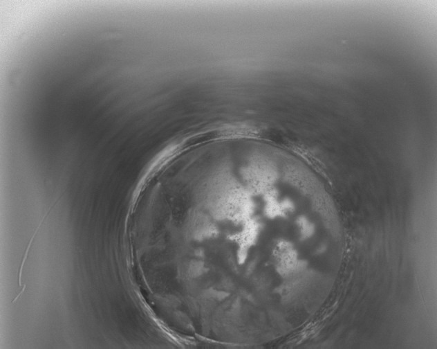 X0000054410053200508051750