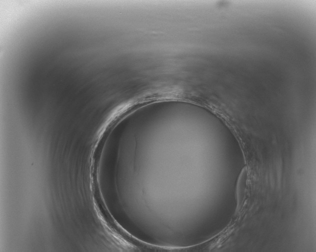 X0000054410054200508051750