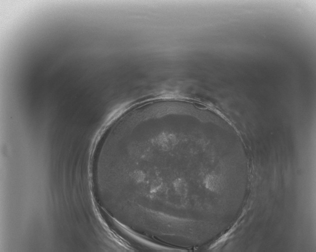 X0000054410055200508051750