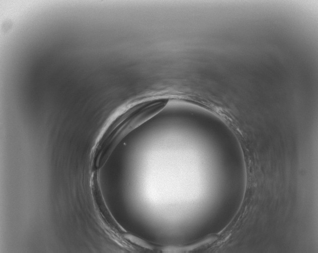 X0000054410056200508051750