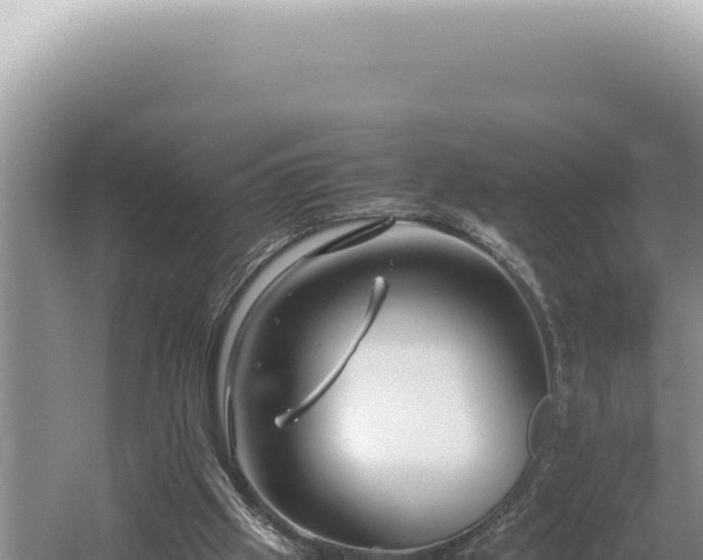 X0000054410057200508051750