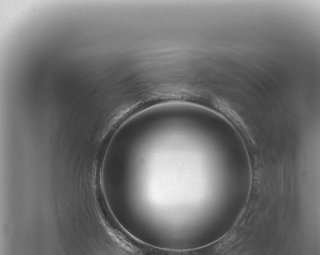 X0000054410058200508051750