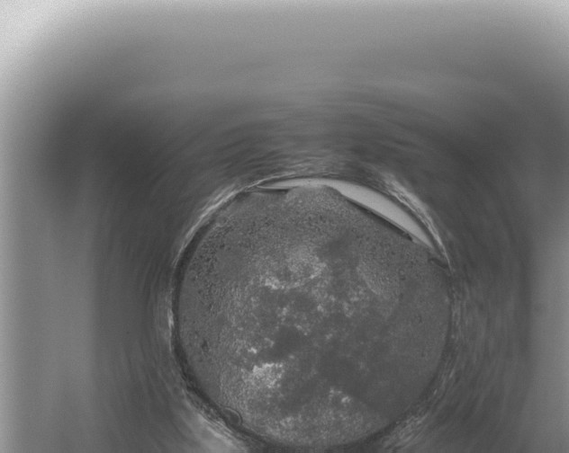 X0000054410059200508051750