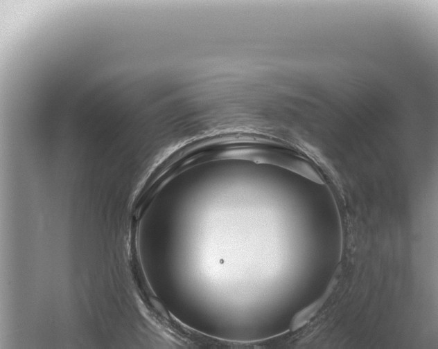 X0000054410060200508051750