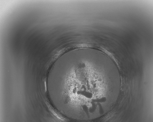 X0000054410061200508051750