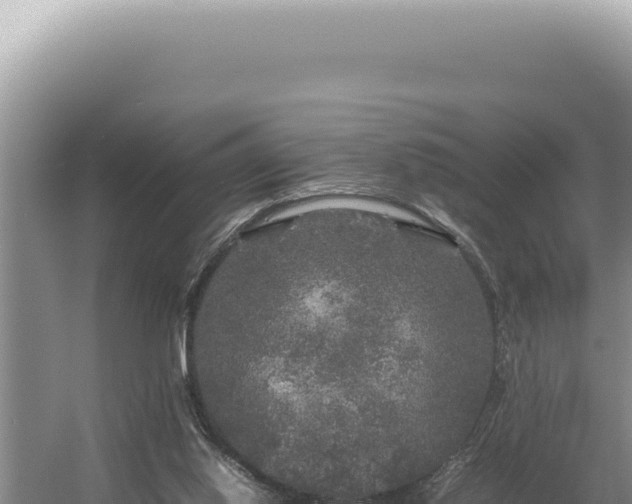 X0000054410062200508051750