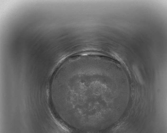 X0000054410063200508051750