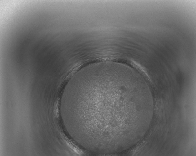 X0000054410065200508051750