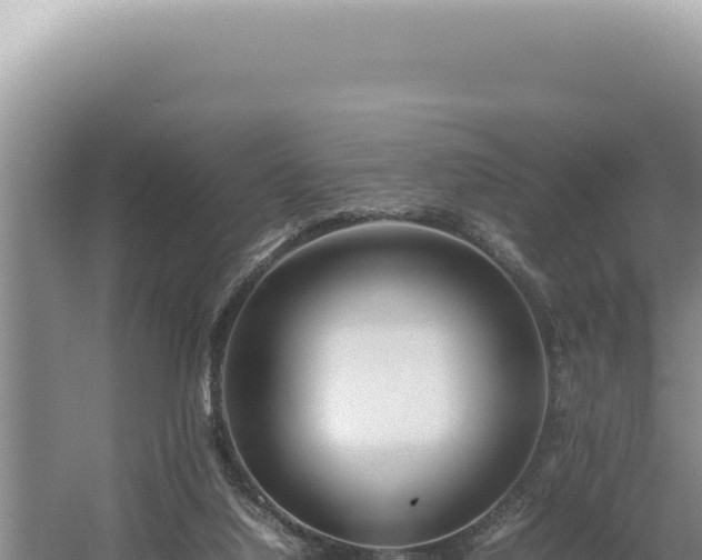 X0000054410068200508051750