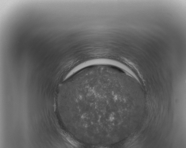 X0000054410069200508051750