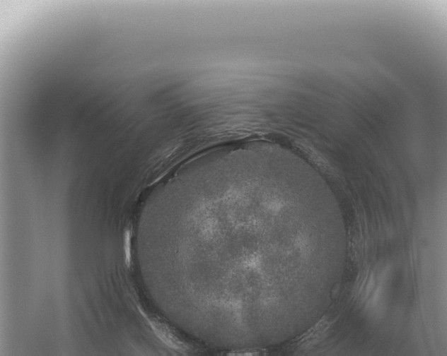 X0000054410070200508051750