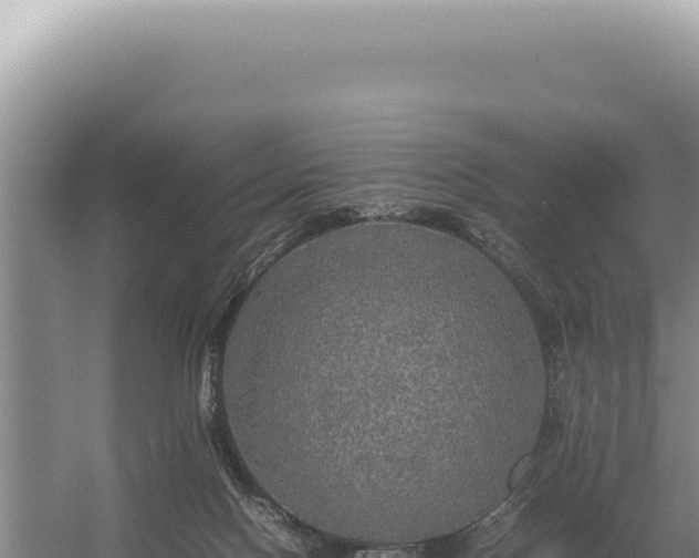 X0000054410074200508051751