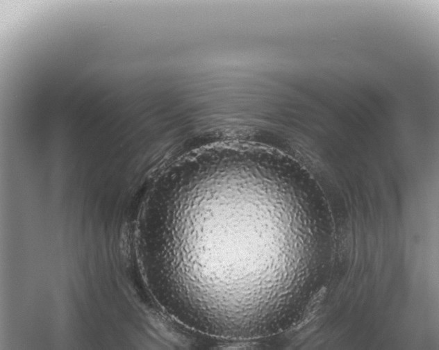 X0000054410078200508051751