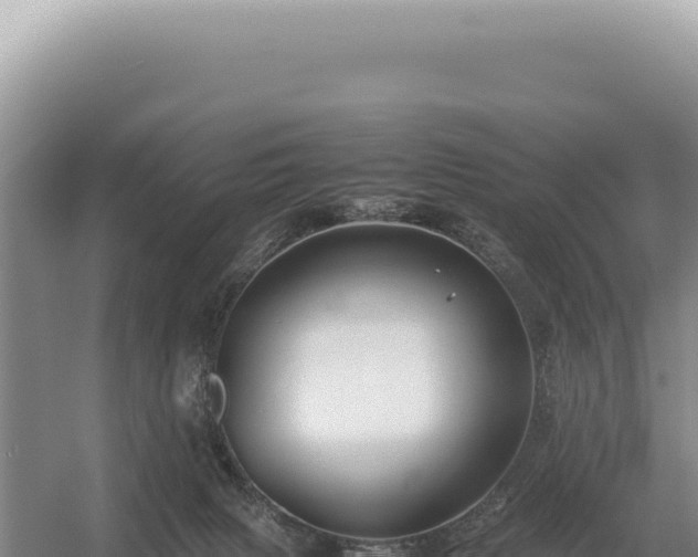 X0000054410079200508051751