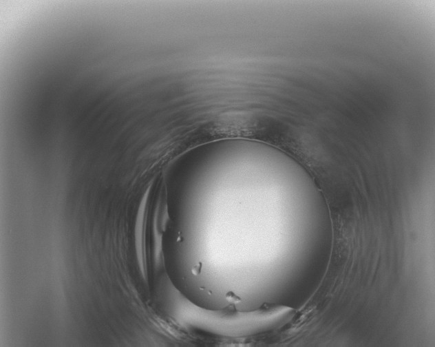 X0000054410080200508051751