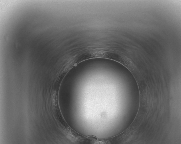 X0000054410083200508051751